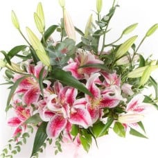 Pink Lilies (Standard)