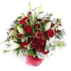 Oriental Delight (Standard)