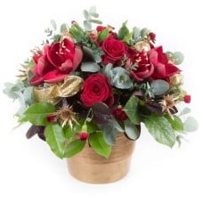 Red Velvet (Standard)