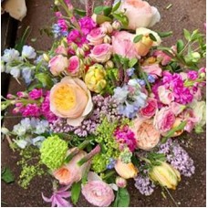 Bursting Blooms