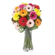 Spring colours (Medium)