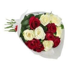 Red and white (Small)