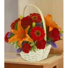 Best Wishes