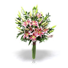 Pink Lilies