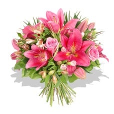 Pink Buket