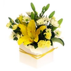 Yellow Box