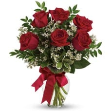 Simply Roses