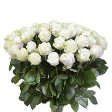 Bunch Of 50 White Roses