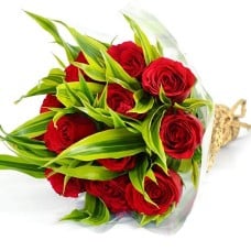 Lovely Rose