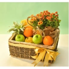FRUIT BLISS FRUIT BASKET WITH FLOWERING PLANT