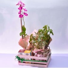 EARTHLY ELEGANCE GIFT BASKET