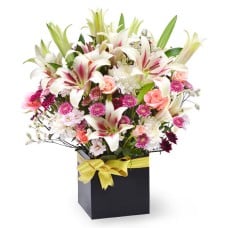 Lily Heaven
