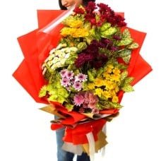 Splendid Blooms