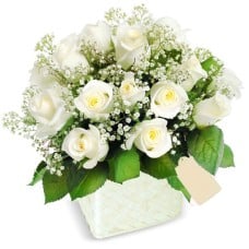 Heartfelt White Roses