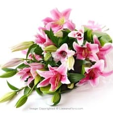 SHEAF OF PINK LILIES - 5 STEMS