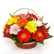 Gerberas Mix Flower Basket