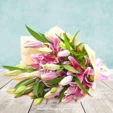 BLOOM STORY