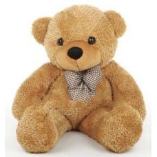 Single Teddy Bear