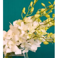 White Orchids In Bouquet