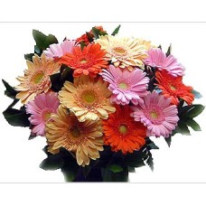 Multicolor Gerbera Basket