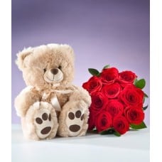 2 Dz Red Roses With Teddy Bear