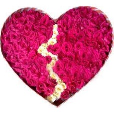 Broken Heart Shaped Roses With101 Roses