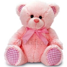 (07) Big Teddy Bear 24 Inch