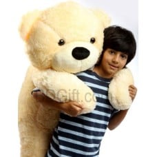 (10) Extra Big Teddy Bear 3 Feet