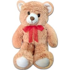 (17) Teddy Bear Medium