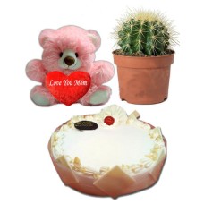 (0001) Cake W/ Live Cactus &amp; Bear