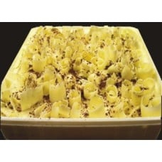 Tiramisu by Cake2Go (8 Inches)