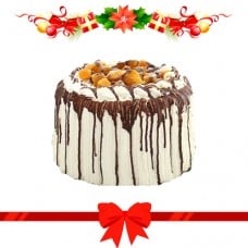 Mango Bravo by Contis (Regular)