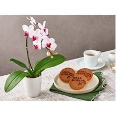 Middy Phalaenopsis Orchid & Dorayaki( dorayaki )