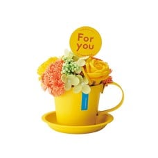 VividMugSoapflower・Yellow
