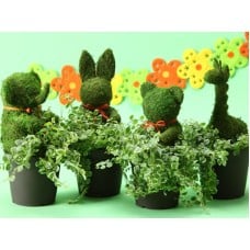 Animal Topiary