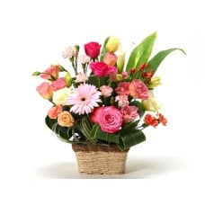 seasonal style (Small)