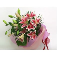 Pink Lilly
