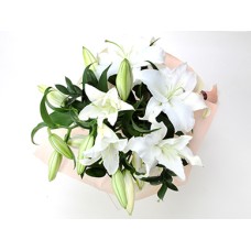 Lilly Peridot White