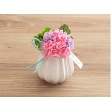 Carnation ～Cantabile