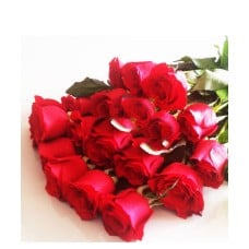 Bright love