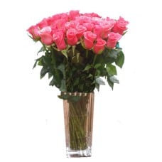 Pink roses (Small)