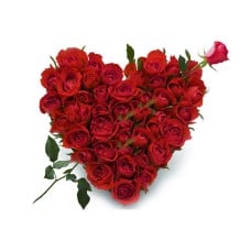 Heart - Cupid