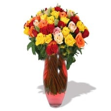 Multi color roses (Medium)
