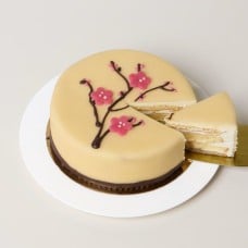 Blackforest Cherry Cake