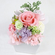 Preserved Arrange Grand Rosé