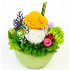 Preserved Arrange Grand Fuga