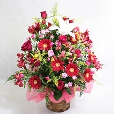Gorgeous arrangement vivid