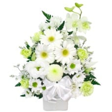 Offering Arrangement (Omakase Standard) White