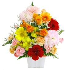 Omakase Arrangement / Cutie Color Mix