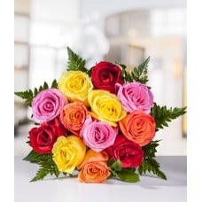 Dozen Assorted Roses